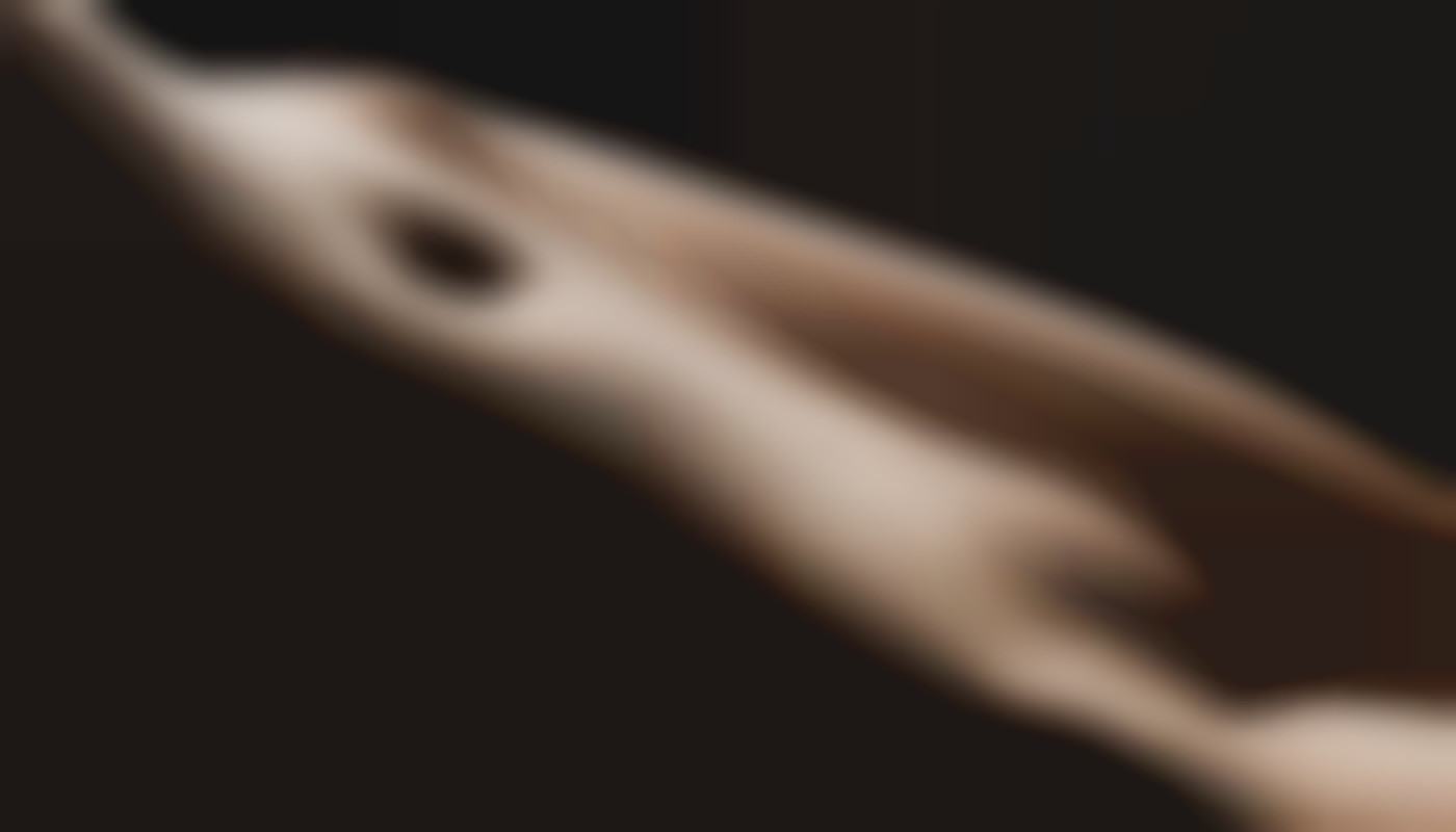 Explorer des activités culturelles et de détente en compagnie